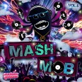 Released Wednesday, 30. March 2011 Mashup-Germany – Vol.5 – MASH MOB